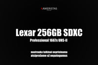 Lexar 256GB Professional 1667x UHS-II SDXC SD kortelė (nuoma)