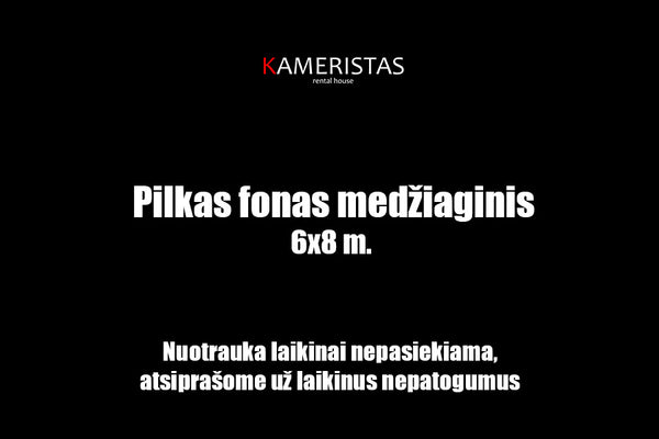 Pilkas fonas medziaginis 6x8m nuoma Vilnius Cinema Camera rental Lithuania mirrorless sisteminis hybrid hibridinė kamera videografija fotografija kinematografija operatorius videografas fotografas kinas filmai cinema film movie set camera equipment rental Lithuania